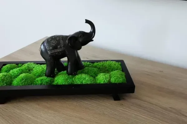 Naturalna Dekoracja do Biura